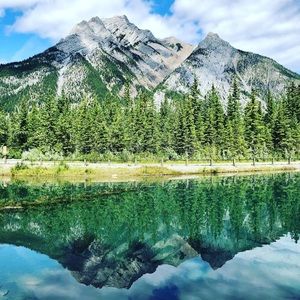 Meet your Posher, Nerissa